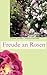 Freude an Rosen