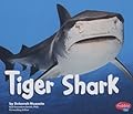 Tiger Shark