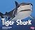 Tiger Shark