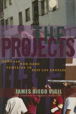 The Projects: Gang and Non-Gang Families in East Los Angeles (Paperback)
