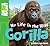 My Life in the Wild: Gorilla