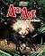 Aye Aye - Narrative Non-Fiction Reading for Grade 3, Developmental Learning for Young Readers - Uncommon Animals