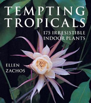 Tempting Tropicals: 175 Irresistible Indoor Plants (Hardcover)