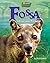Fossa: A Fearsome Predator