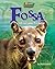 Fossa: A Fearsome Predator