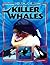 Killer Whales (Boys Rock!, 1261)