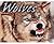 Wolves (Animal Predators)