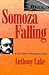 Somoza Falling by Anthony Lake