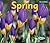 Spring (Seasons)
