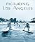 Picturing Los Angeles by Jon Wilkman