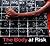 The Body at Risk: Photograp...