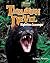 Tasmanian Devil: Nighttime Scavenger (Uncommon Animals)