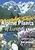 Alpine Plants Of Europe: A Gardener's Guide