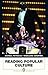 Reading Popular Culture