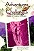 Adventures and Challenges by Frances A. Karnes