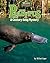 Platypus: A Century-Long Mystery (Uncommon Animals)