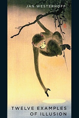 Twelve Examples of Illusion (Hardcover)