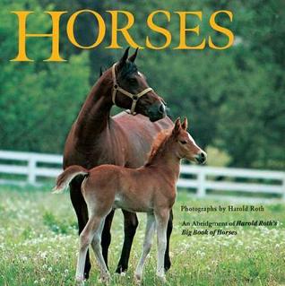 Horses (Paperback)