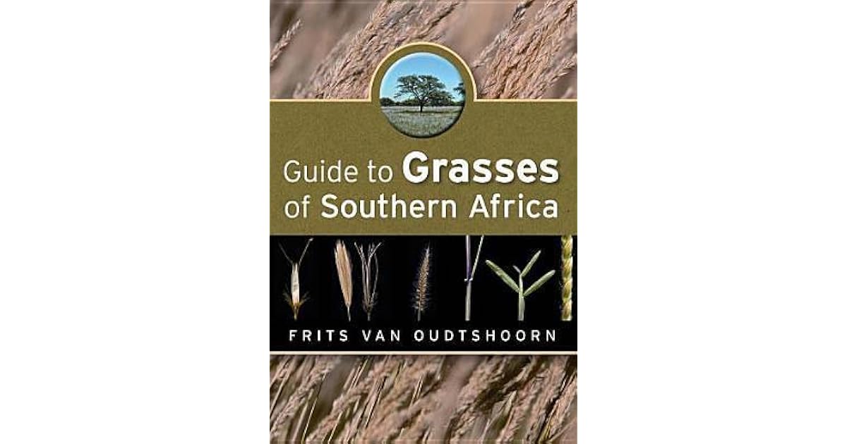Guide to Grasses of Southern Africa by Frits Van Oudtshoorn