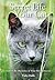The Secret Life of Your Cat: Unlock the Mysteries of Your Pet's Behavior