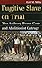 Fugitive Slave on Trial: The Anthony Burns Case and Abolitionist Outrage (Landmark Law Cases and American Society)