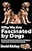 Why We Are Fascinated by Dogs