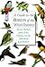 A Guide to the Birds of the West Indies by Herbert A. Raffaele