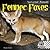 Fennec Foxes (Nocturnal Ani...