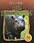 Little Hippopotamuses (Born to Be Wild)
