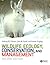 Wildlife Ecology, Conservation And Management by Anthony R.E. Sinclair