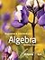Beginning and Intermediate Algebra: Building a Foundation