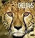 Cheetahs (Living Wild)