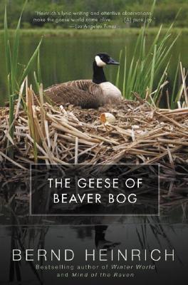 The Geese of Beaver Bog (Paperback)
