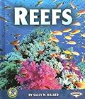 Reefs