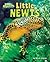 Little Newts