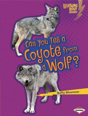 Can You Tell a Coyote from a Wolf? (Lightning Bolt Books ® ― Animal Look-Alikes)