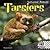 Tarsiers (Nocturnal Animals)