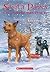 Santa Paws and the Christmas Storm by Kris Edwards
