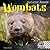 Wombats