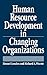 Human Resource Development in Changing Organizations