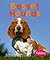 Basset Hounds (Pebble Books)