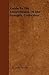Guide to the Invertebrates of the Synoptic Collection