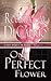 One Perfect Flower by Roberta C.M. DeCaprio