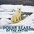 Polar Bears of the Arctic (Brrr! Polar Animals)