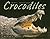 Crocodiles (Animal Predators)