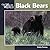 Black Bear (Our Wild World)