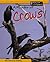 A Murder of Crows (Animal Groups.)