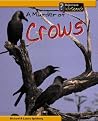 A Murder of Crows (Animal Groups.) A Murder of Crows (Animal Groups.)