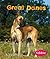 Great Danes (Pebble Books)