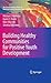 Building Healthy Communities for Positive Youth Development (The Search Institute Series on Developmentally Attentive Community and Society, 7)